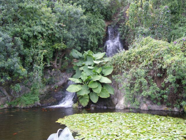 pic01
