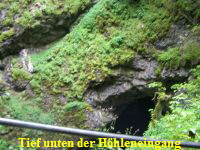 Zur Bildergallerie Zur Bildergallerie