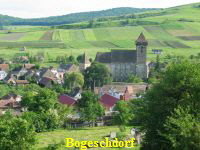 Zur Bildergallerie Zur Bildergallerie