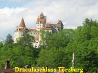 Zur Bildergallerie Zur Bildergallerie